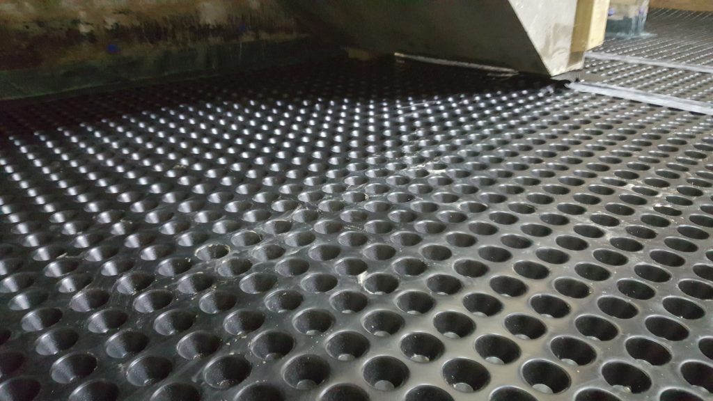Floor membrane under new concrete staircase